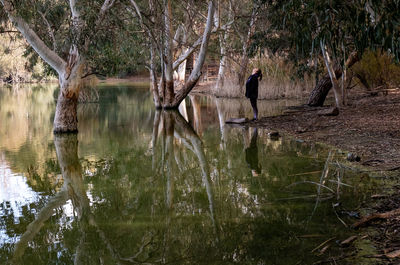 Reflection of trees in a lake