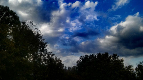 Low angle view of silhouette trees against sky