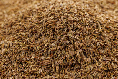 Dry dill seeds pile, close-up background with selective focus