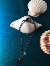 Directly above shot of necklace and seashell on table