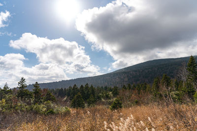 Scenic view of landscape against sky