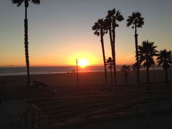 Palm trees on beach at sunset