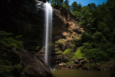 Scenic view of waterfall in forest