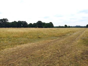 Scenic view of field against sky