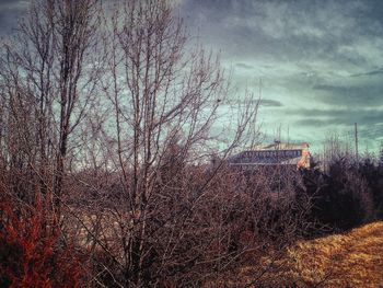 Bare trees against cloudy sky