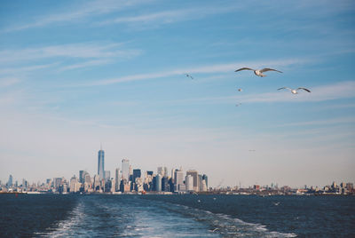 Seagulls flying over cityscape against sky