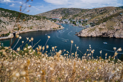 Balaklava bay from the hill. summer season, dry foliage in foreground. travel tourism concept