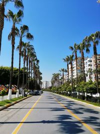 Road by trees and plants against sky