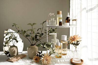 Potted plant on table at home