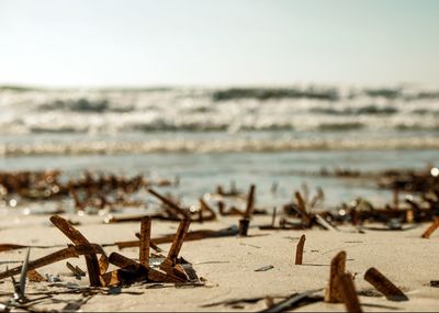 Scenic view of beach against sky