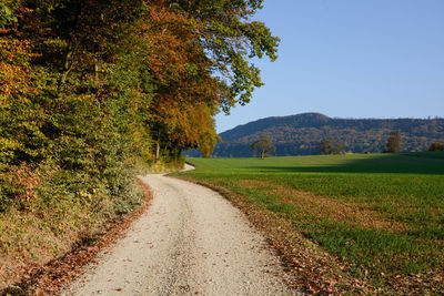 Road amidst trees and plants against sky