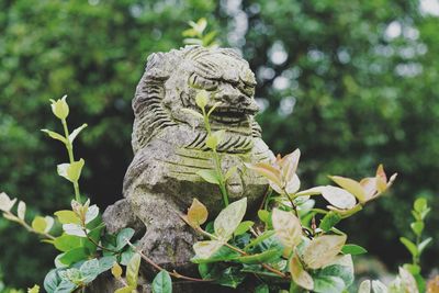 Close-up of statue against plants in park