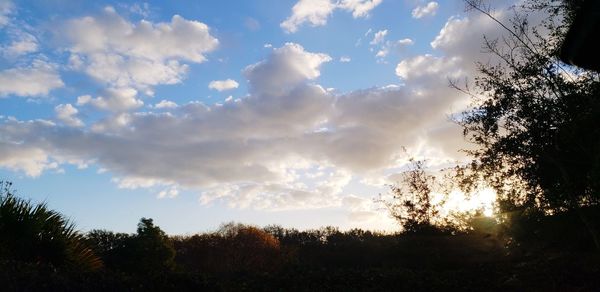 Low angle view of silhouette trees against sky at sunset