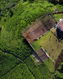 High angle view of buildings in park