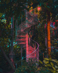 Illuminated lights hanging by trees outside building at night