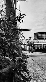 People riding bicycle on street in city