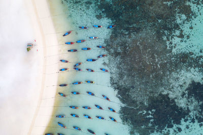 Aerial view of boats moored in sea