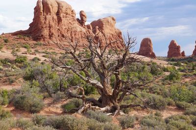 Rock formations on landscape against sky