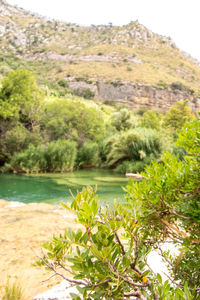 Scenic view of river flowing through mountain