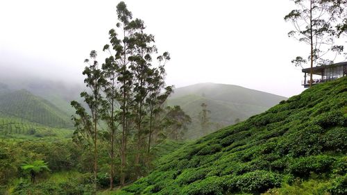 Scenic view of landscape against clear sky