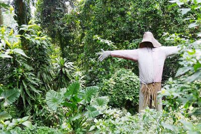 Scarecrow in forest