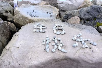 High angle view of stones on beach