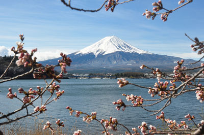 Lake with snowcapped mountain in background against sky