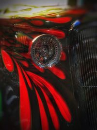 Close-up of red rose