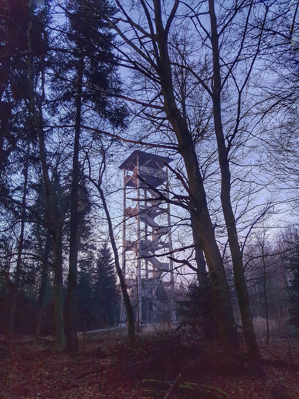 LOW ANGLE VIEW OF BARE TREES AGAINST SKY