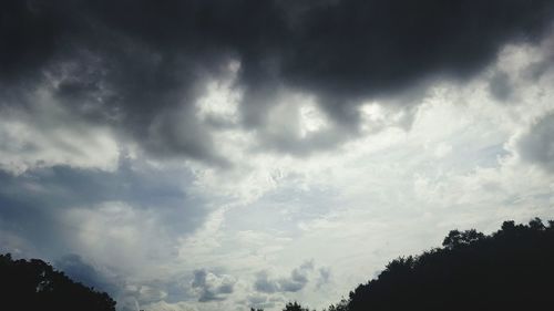 Low angle view of silhouette trees against sky