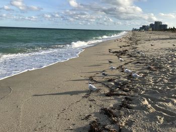 Scenic view of beach against sky