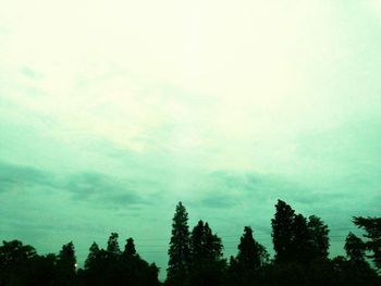 High section of trees against cloudy sky