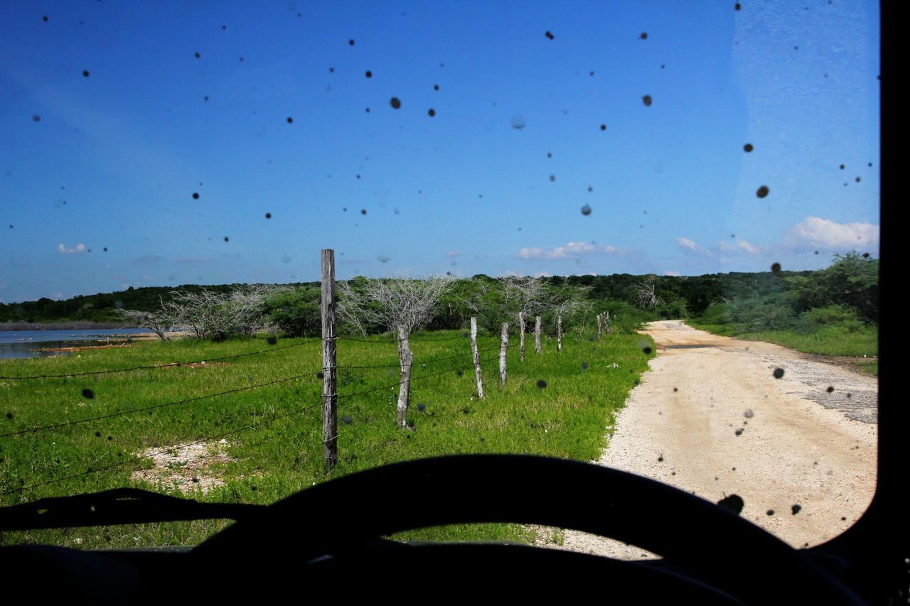 ROAD AMIDST FIELD AGAINST CLEAR SKY