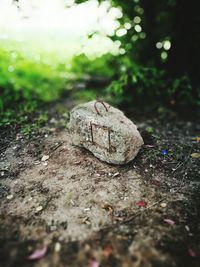 Surface level of stones