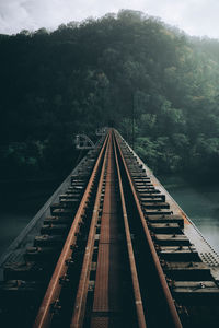 Railway bridge over river amidst trees