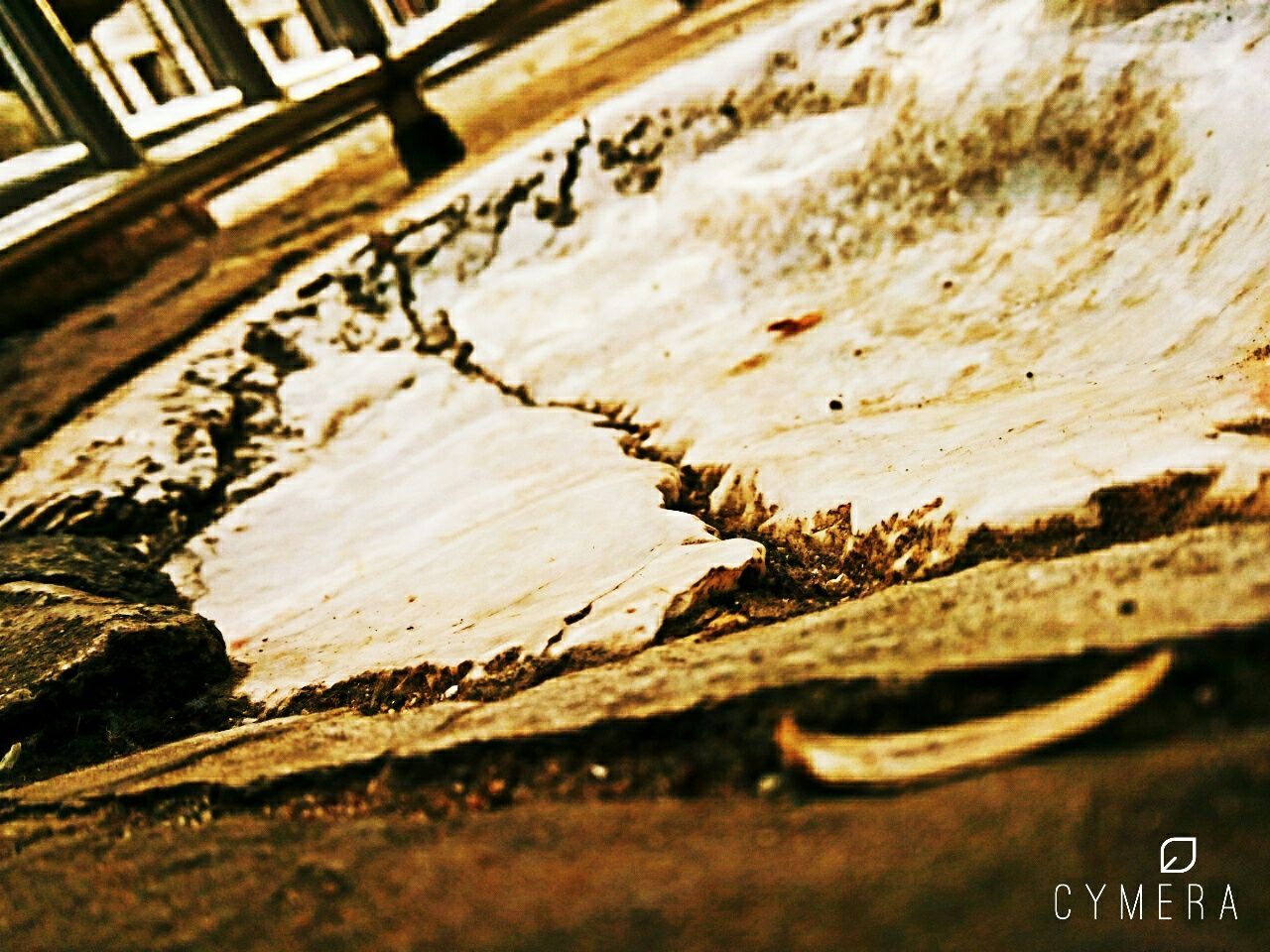 selective focus, surface level, close-up, leaf, street, dry, outdoors, day, road, nature, no people, sunlight, high angle view, transportation, damaged, textured, focus on foreground, shadow, wall - building feature, dirt