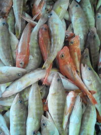 Full frame shot of market stall for sale