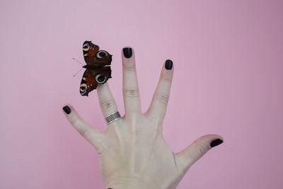 Cropped hand of woman with butterfly against pink background