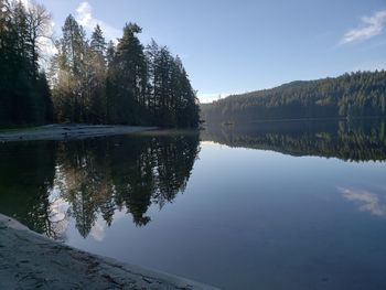 Reflection of trees in lake against sky