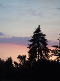 Silhouette trees in forest against sky at sunset