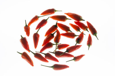 Close-up of red berries over white background