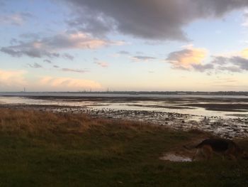 Scenic view of beach against sky during sunset