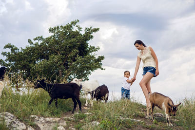 Woman with a child in a field on the mountain sitting next to a small goat in the summer