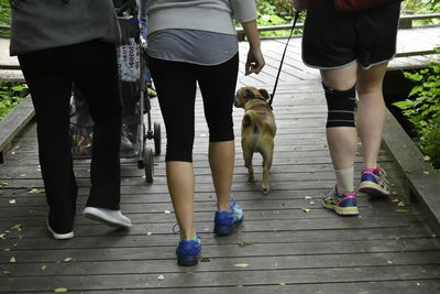 Low section of people with dog walking on street