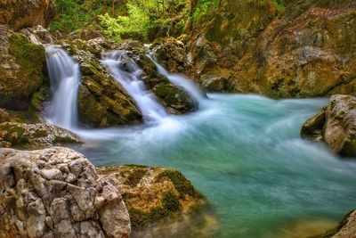 Scenic view of waterfall in forest