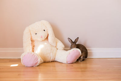 Close-up of stuffed toy against white background