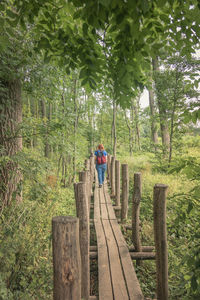 Rear view of man walking amidst trees in forest