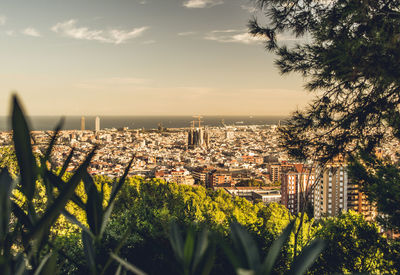 Panoramic view of barcelona buildings and trees against sunset sky