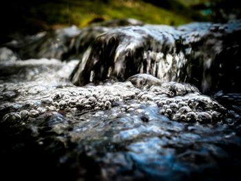 Surface level of rocks