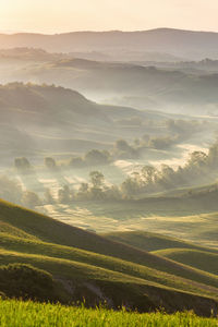 Valley with the dawn mist in a rolling landscape